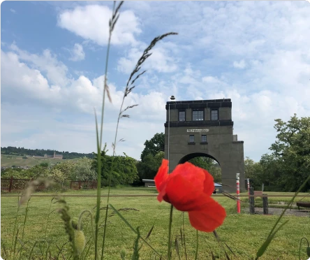 From the Rhine, With Love