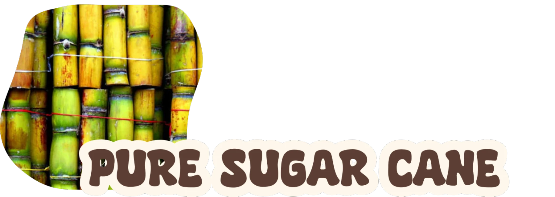 puremate - cane - mobile