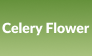 Celery Flower