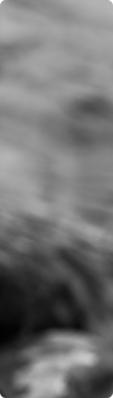 Story 4 Gray